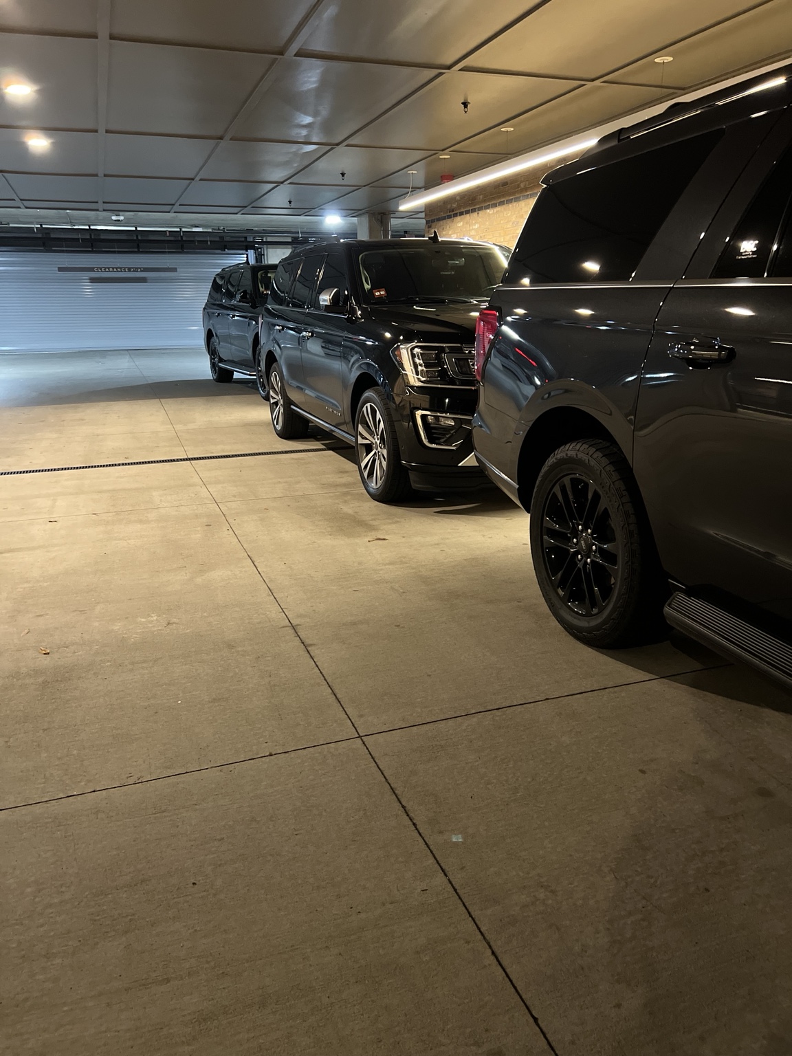 A line of SUVs ready for transportation service